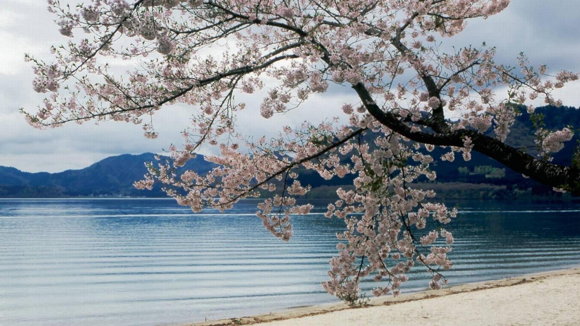 Kashintei Shirahama Hotel Semboku Luaran gambar